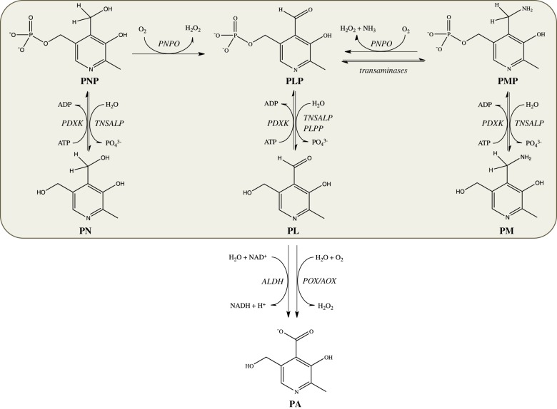 Figure 2.