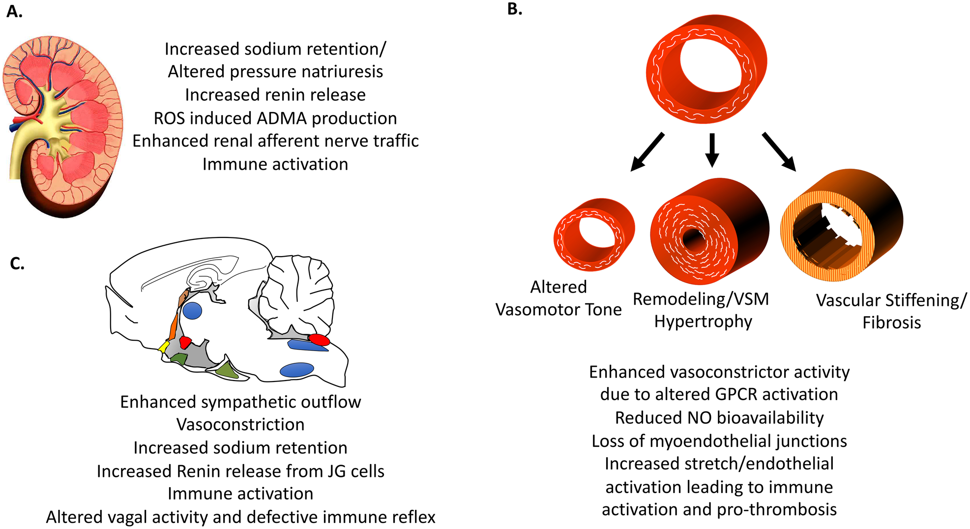 Figure 2: