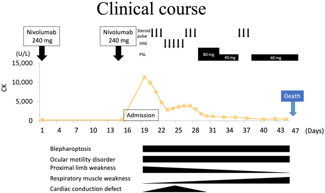 Figure 6.