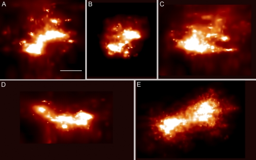 Fig. 6.