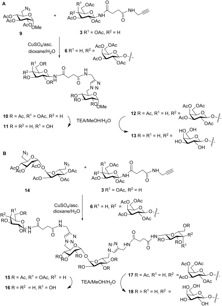 Scheme 2