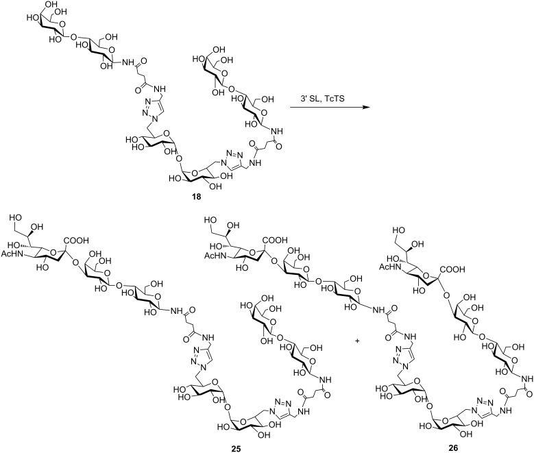 Scheme 4