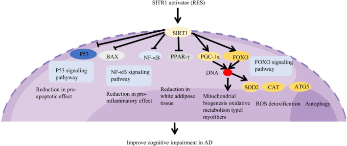 FIGURE 6