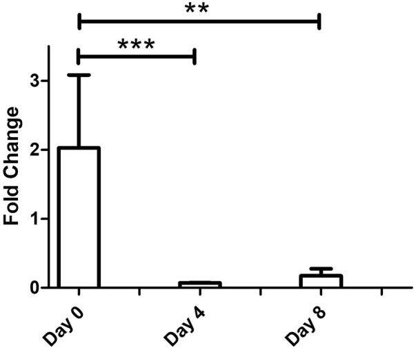 FIGURE 4