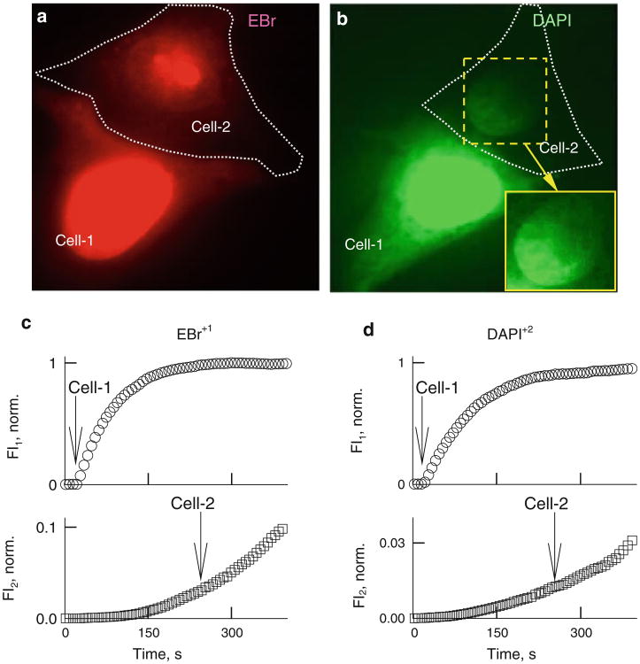 Fig. 4