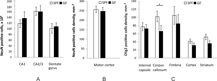 Fig 10