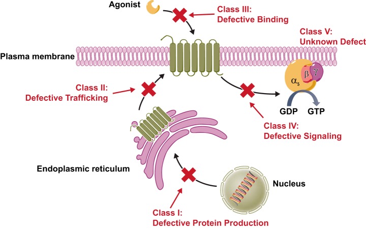 FIGURE 1.