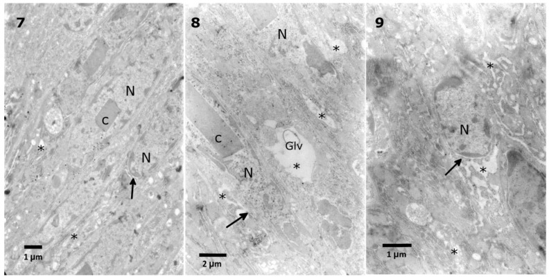 Figure 7