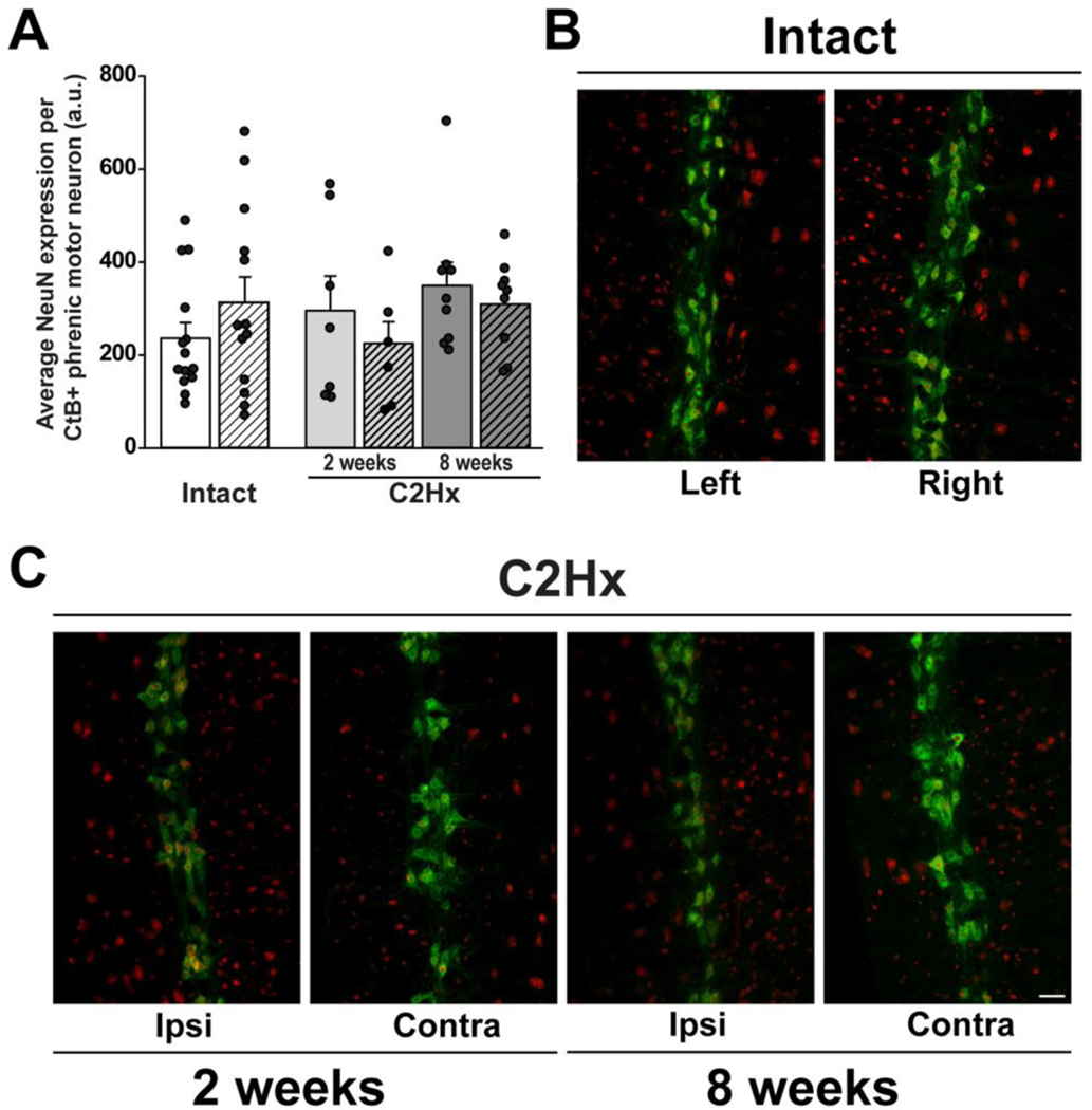 Figure 4: