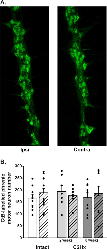 Figure 3: