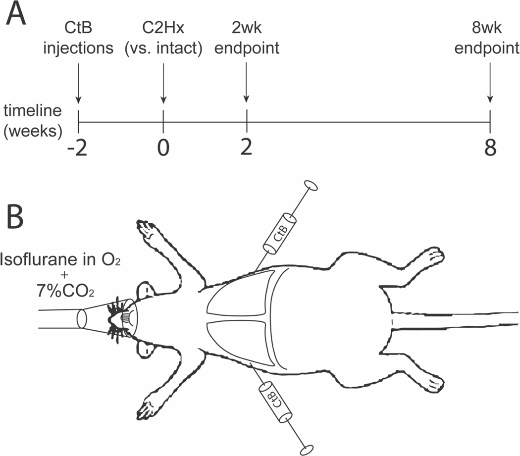 Figure 1: