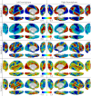 Fig. S1.