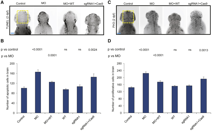 Figure 4