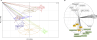 Fig. 8: