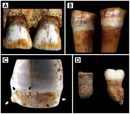 Figure 5