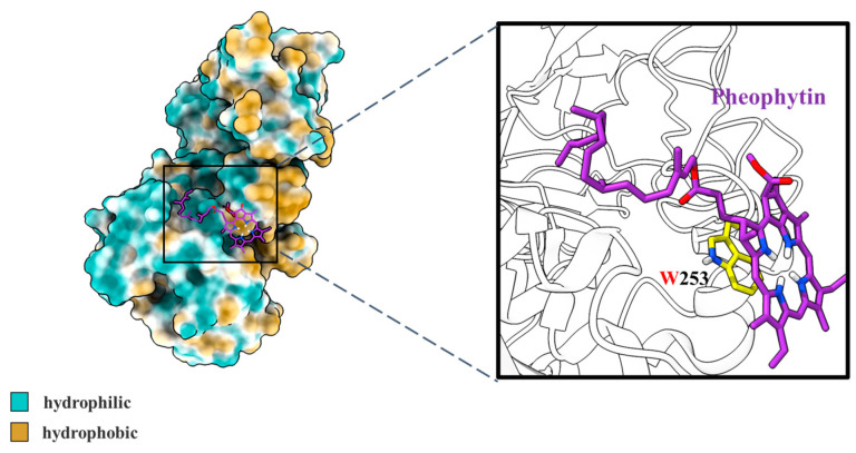 Figure 7