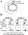 FIG. 3.