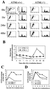 FIG. 1.