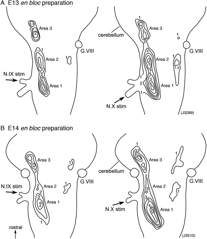 Fig. 5