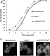 FIG 4