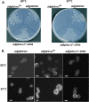 FIG 8