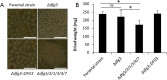 FIG 3