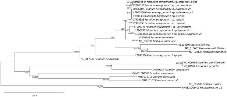 Figure 1.