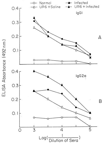 FIG. 5