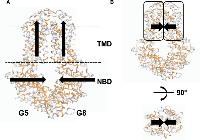 Figure 2.