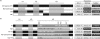 FIG. 5.