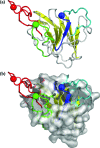 FIG. 7.