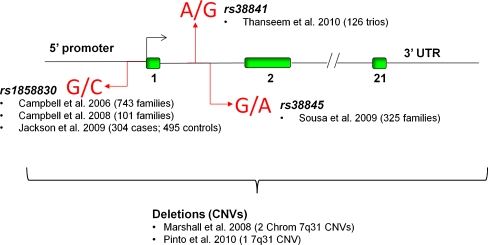 Fig. 1