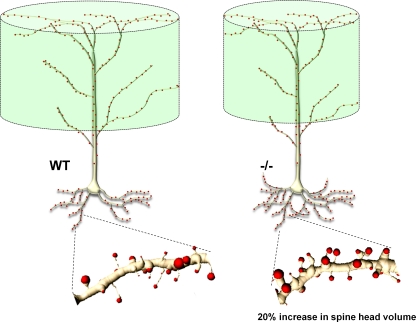 Fig. 3