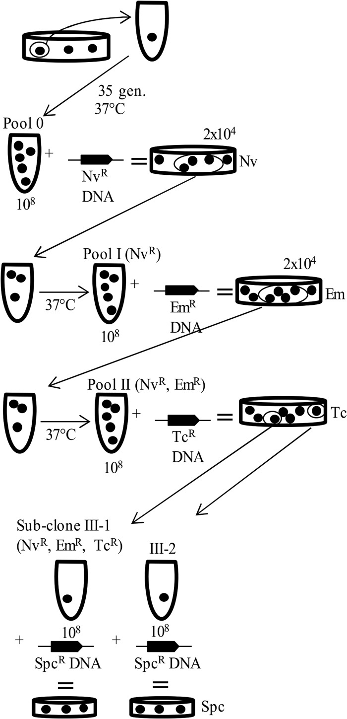 FIG 1