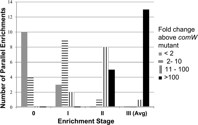 FIG 2