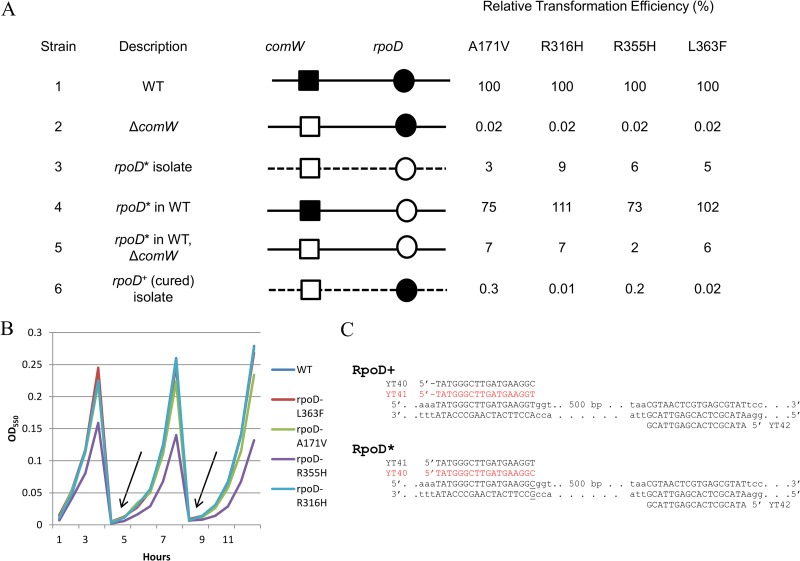 FIG 4