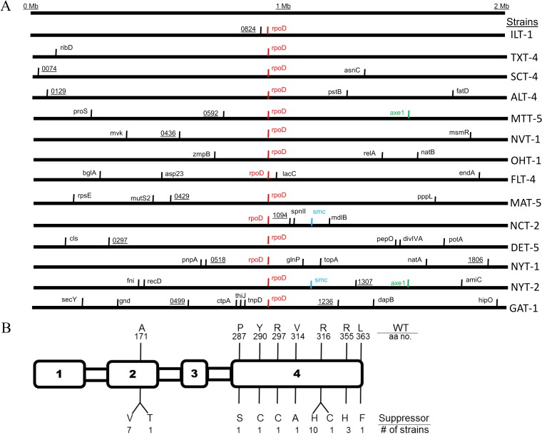 FIG 3