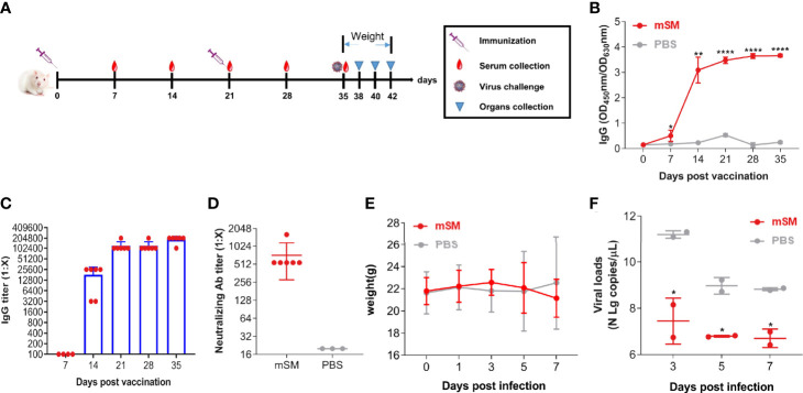 Figure 4