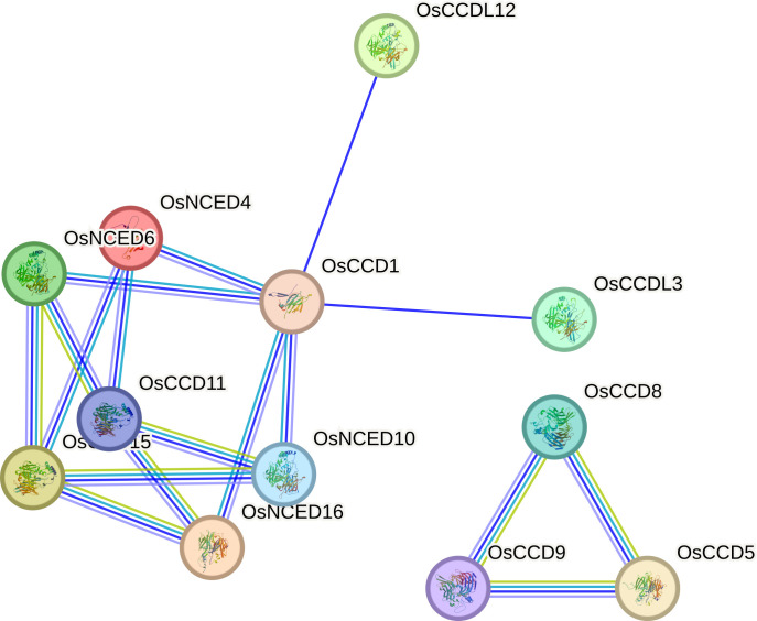 Figure 13