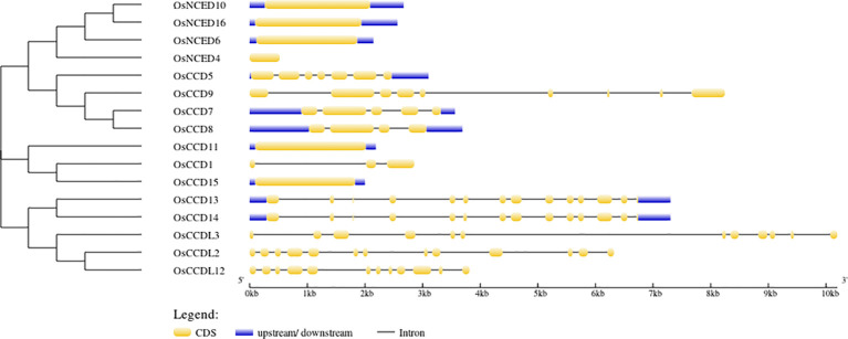 Figure 4