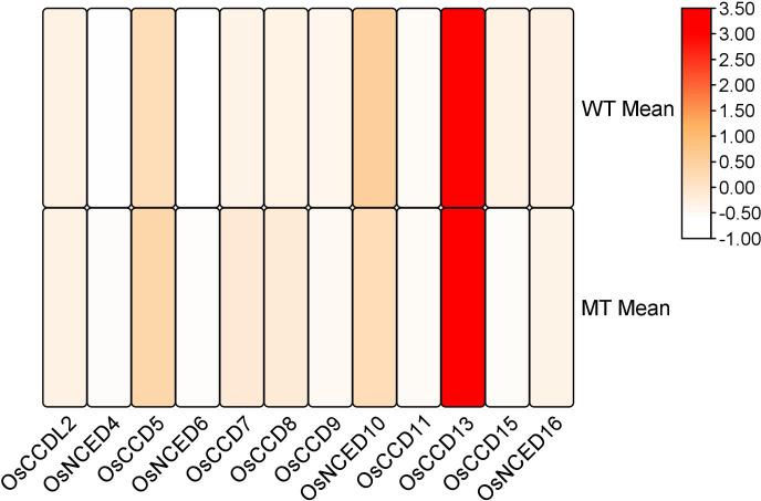 Figure 11