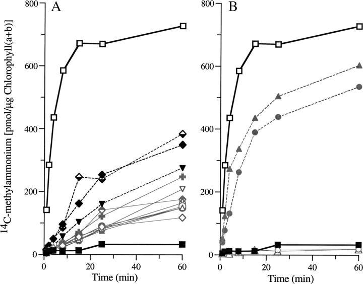 Figure 4.—