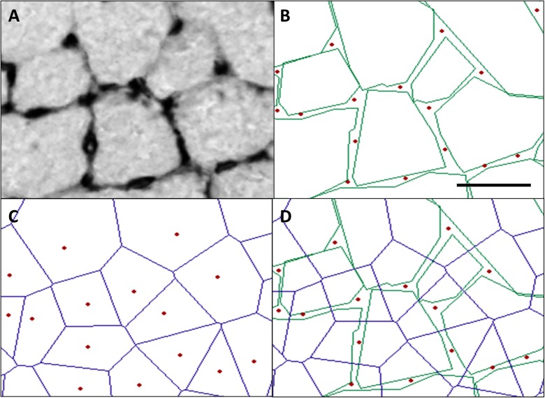 Fig. 6