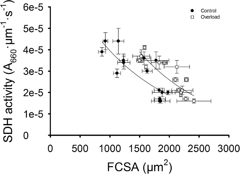 Fig. 8