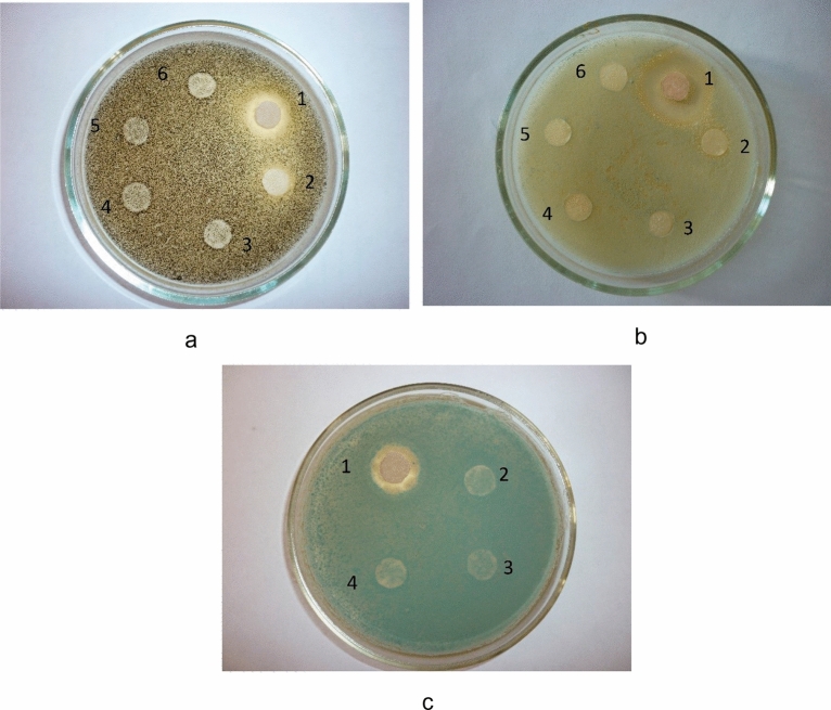 Figure 17