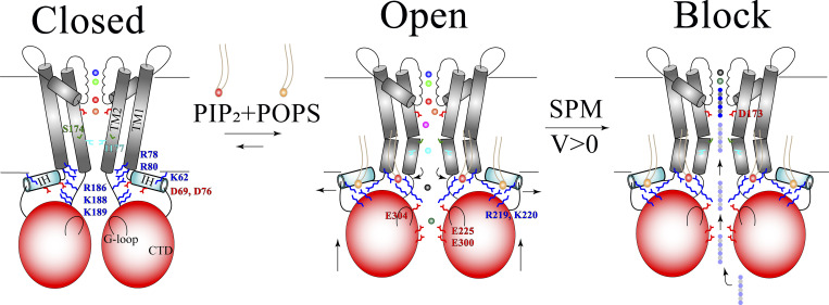 Figure 7.