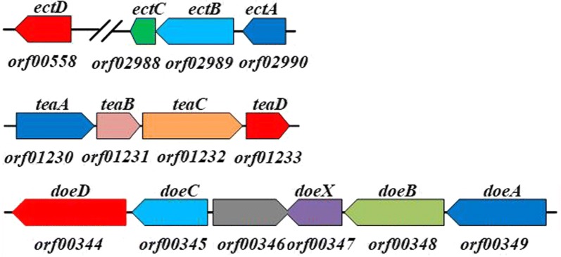 Fig. 1