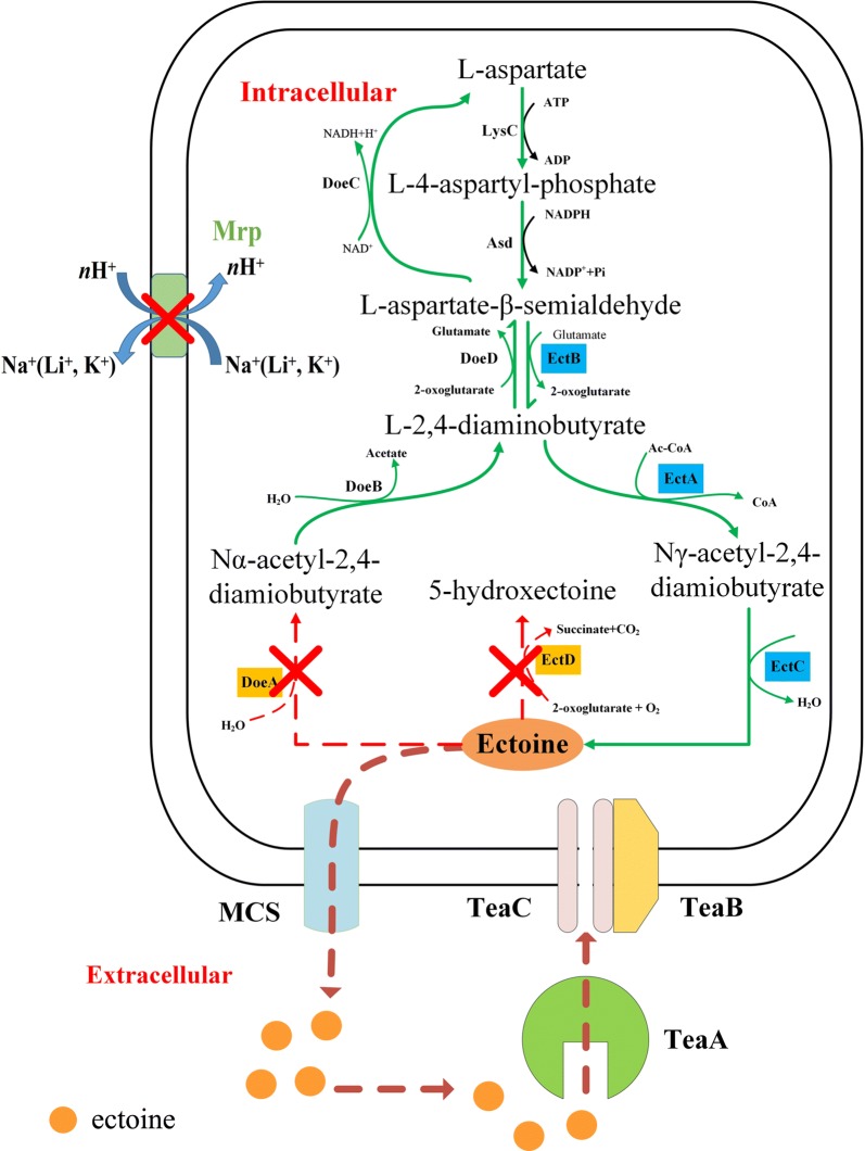 Fig. 6