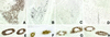 Fig 5.