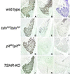 Fig 4.